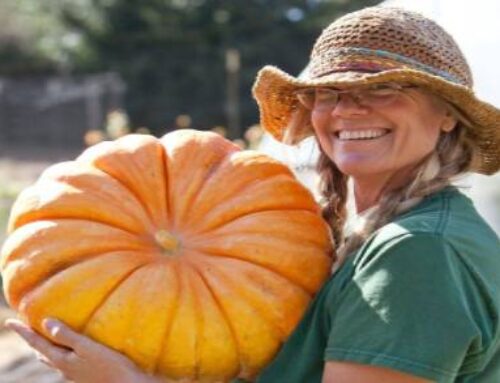 Love Fresh Food? Love Your Farmer’s Market!