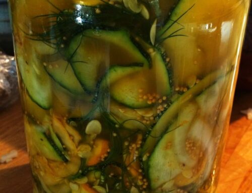 RECIPE: Fermented Summer Squash Pickles